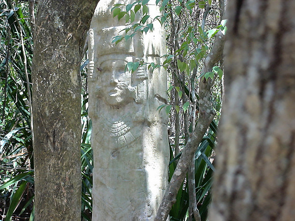 DSC01049_DCE