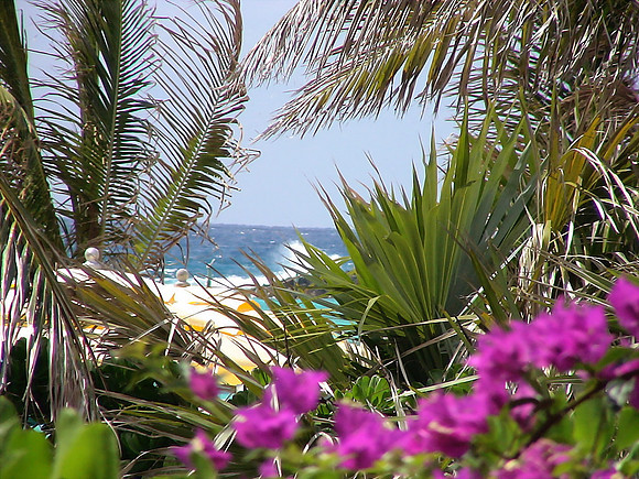 DSC01291_DCE
