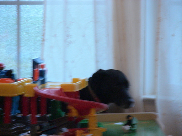 DSC01509
