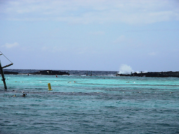 DSC01221_DCE