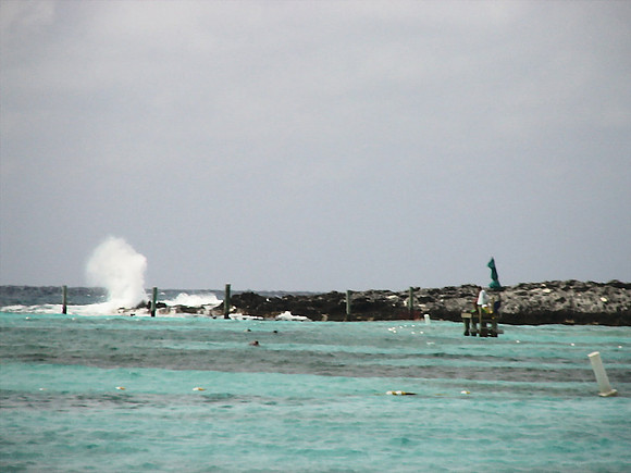 DSC01254_DCE
