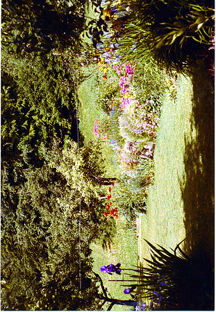 schenk photo scans_20190316_0114