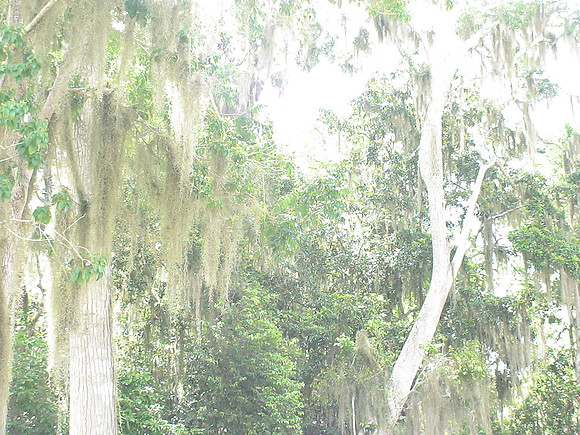 DSC01640