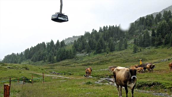 Diavolezza Cable Car
