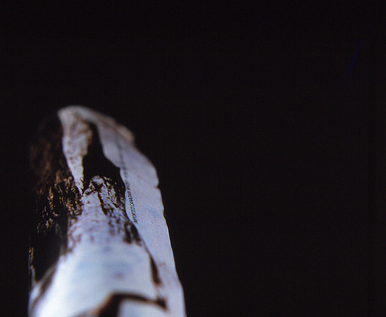 Edward Slides E_20150125_0057