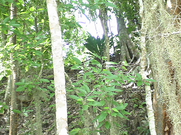 DSC01647