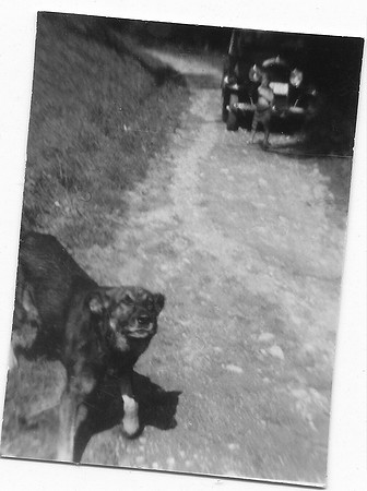 schenk photo scans_20190305_0094