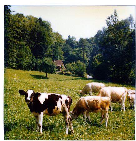 schenk photo scans_20190318_0028
