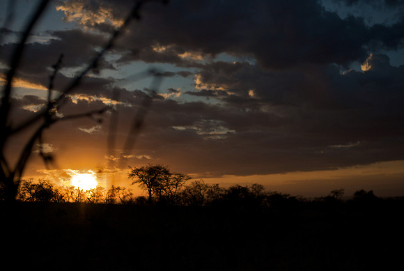 Serengeti Sunset
