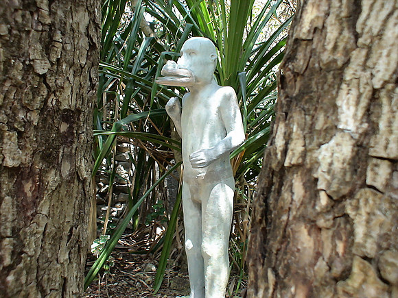 DSC01054_DCE