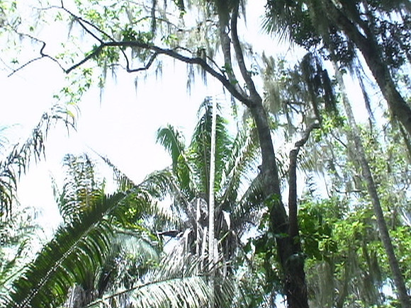 DSC01690