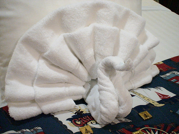 DSC01149_DCE