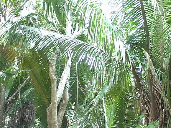 DSC01678