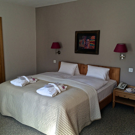 Hotel Rosatsch - Room