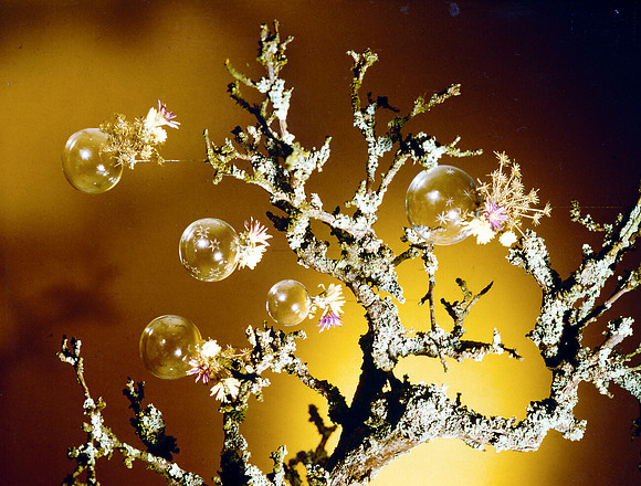 schenk photo scans_20190318_0042
