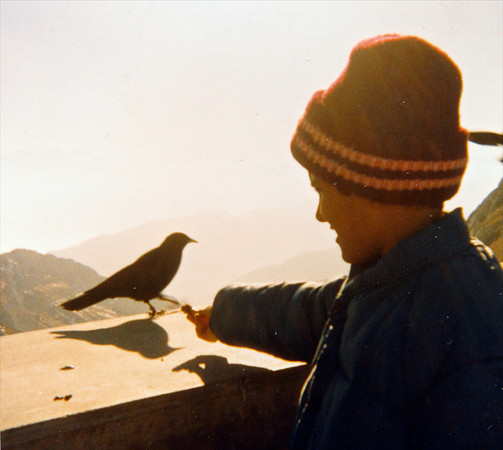 pws0020-19781001-a012-19781001 10 - Version 3