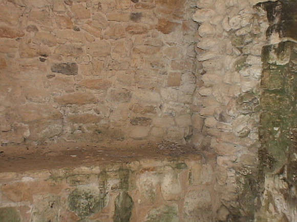 DSC01703