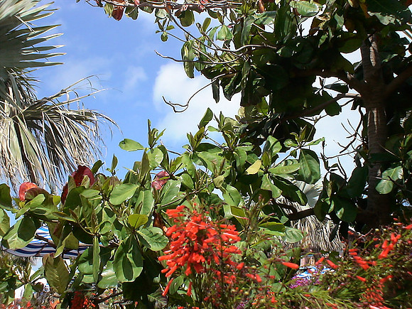 DSC01292_DCE