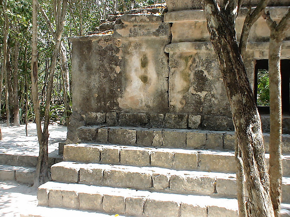 DSC01042_DCE