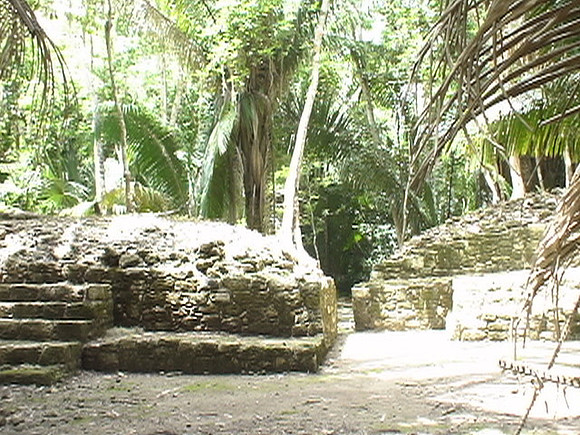 DSC01696