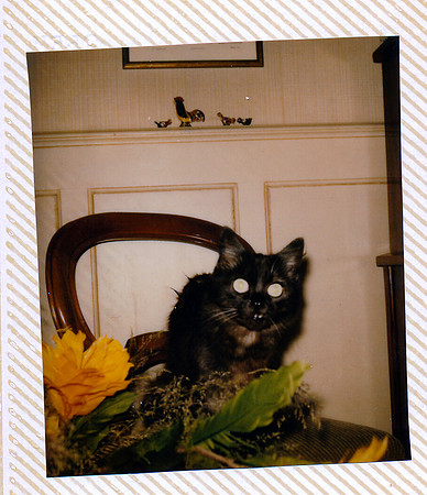 schenk photo scans_20190305_0069